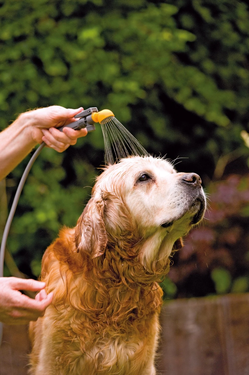 Hozelock Drukspuit 4 In 1 Tuindouche - Afbeelding 4