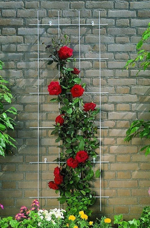 Nature Klimplantrek Metaal Verzinkt 145 X 42.5 Cm - Afbeelding 2