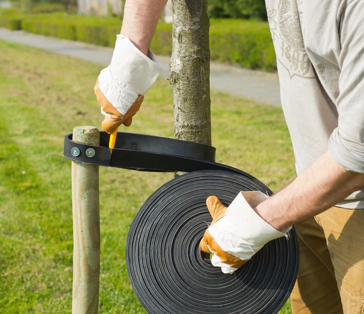 Nature Spijkerboomband Op Rol 15mx3.8cm - Afbeelding 2