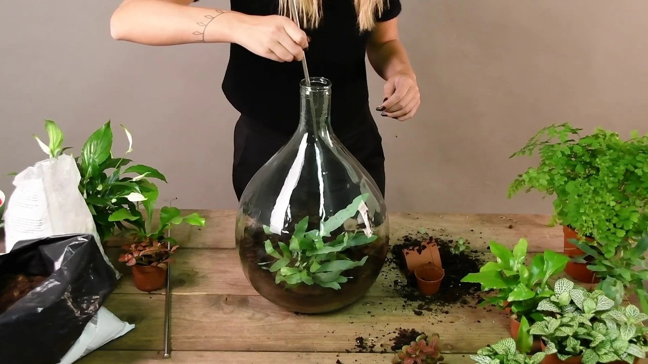 Esschert AGG62 Plant Terrarium | Doe Het Zelf Planten Terrarium - Afbeelding 2